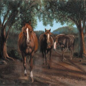 Horses